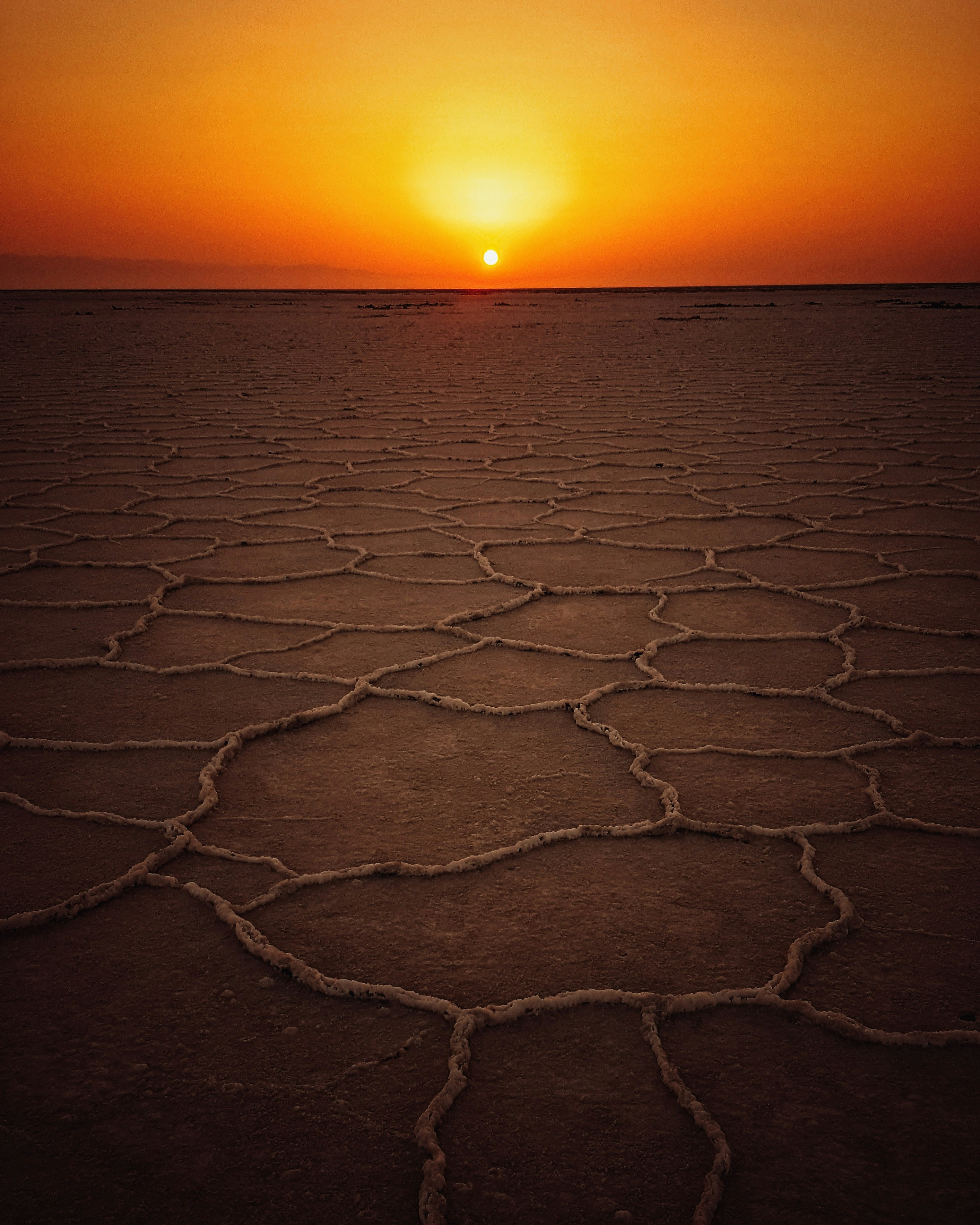 dried land at golden hour